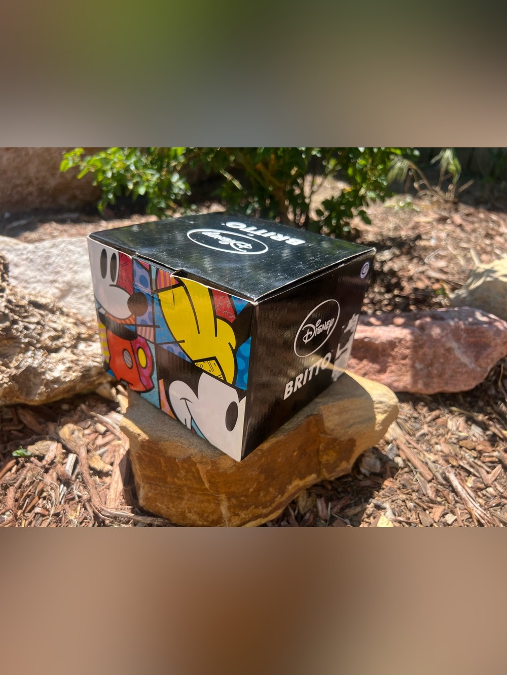 Disney Britto Black Box with Yellow, Blue and Red Colors - Picture 2 of 10